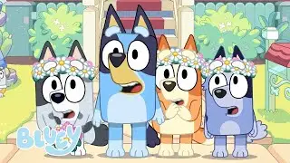 Bluey: The Sign Official Trailer! 💙 🦋 | Bluey