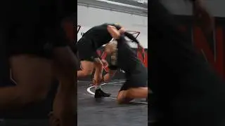 Post Low Single Takedown