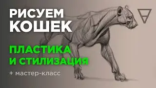 Как рисовать кошек, больших и мелких? Нюансы анатомии. Пластика, стилизация.