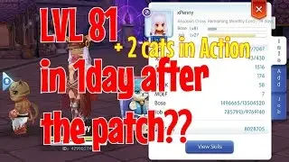 Ragnarok Mobile: Level up faster with these simple tips!
