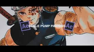 Scale Pump Panning | After Effects