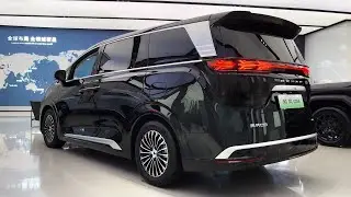 2024 BYD Denza D9 Black Interior and Exterior in details 4K