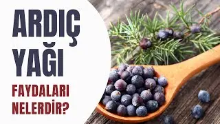 Ardıç Yağı faydaları nelerdir? 
