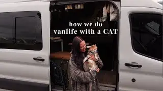 VANLIFE WITH A CAT (how we do it & everything we use & built)