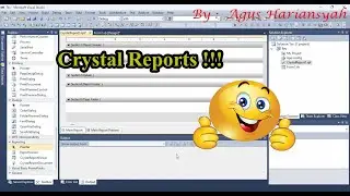 Crystal Reports 2010 Support Pack 13.0.5 VISUAL BASIC NET