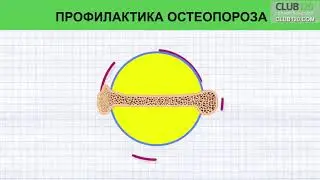 Карталакс  Пептиды Хавинсона для суставов