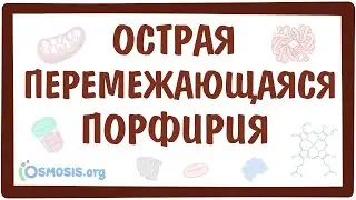 Острая перемежающаяся порфирия — причины, симптомы, патогенез, диагностика, лечение