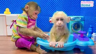 Nanny BiBi bathes baby monkey Obi so sweet