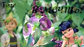 2/2 ,,Я и мечты