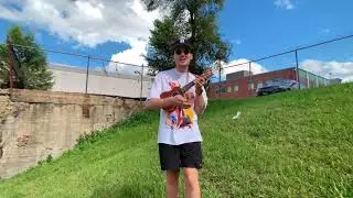gnash - insane (acoustic park performance)