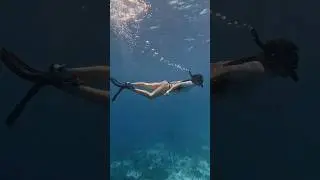 Бланка по гороскопу рыба 🐠😊 | Рома и Бланка | Shaykin 