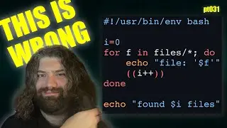 How to handle empty directories with `nullglob` in Bash - You Suck at Programming #031