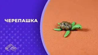 Лепим черепашку 👏 Пластилин