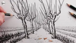 How to Draw Trees using One-Point Perspective for Beginners