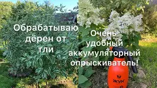 ОБРАБАТЫВАЮ ДЁРЕН ОТ ТЛИ. Супер удобный аккумуляторный опрыскиватель!👍🏻