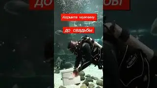 Как удержать мужчину?! ОПАСНЫЙ миф