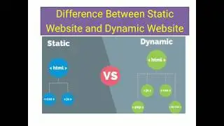 Difference Between Static Website and Dynamic Website