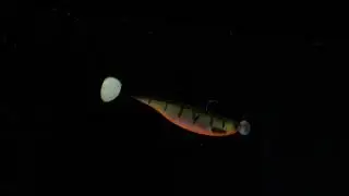 Westin ShadTeez Slim Underwater