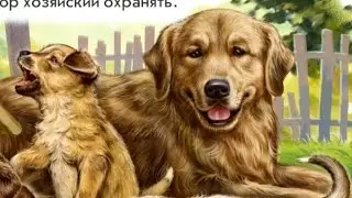 Стихи про домашних животных (кошку, собаку, лошадь)