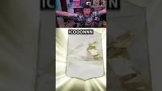 100% Real Icon Packed!