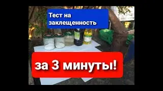 Самый простой Тест на Заклещенность пчел за 3 минуты, как? Копеечное Средство Дешево и сердито