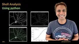 341 - Sholl Analysis using python coding