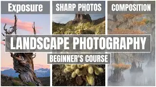 Learn Landscape Photography in 10 Minutes! Absolute Beginners Guide