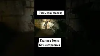 Очень злой сталкер #shorts #сталкер #stalker #зовприпяти #shortvideo #флинрп #сорока #сталкермод