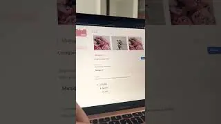 How to use the Notion template button