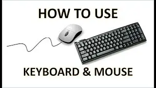 Computer Fundamentals - The Keyboard and Mouse - Learn How To Use a PC - Tips & Tricks for Beginners