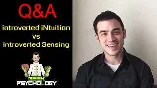 introverted iNtuition vs introverted Sensing | RPG model