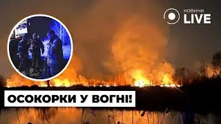 ⚡️Пожежа в екопарку 