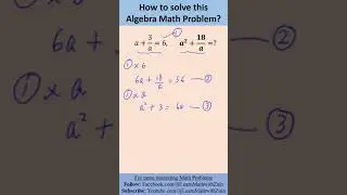 How to solve this Algebra Math Problem | Simple and easy solution | Learn Math with Zain