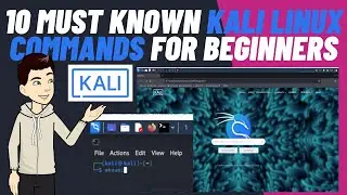 Some Basic Command Of Kali Linux Terminal || Kali Linux