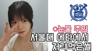 서울대 에타에서 저격먹은 썰