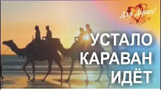 Караван... Устало караван идёт. Песня, которую хочется слушать!