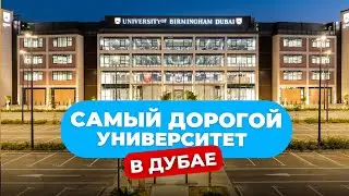 University of Birmingham Dubai | Обзор элитного университета