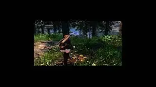 #shorts Skyrim. Вот такой должна быть анимация скрытности