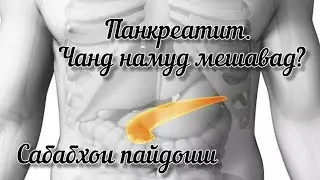 ПАНКРЕАТИТ. ИЛТИХОБИ ГАДУДИ ЗЕРИ МЕЪДА 