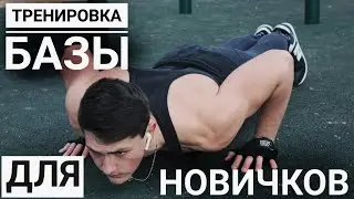 Тренировка БАЗЫ для НОВИЧКОВ | Прогресс ОЧЕВИДЕН