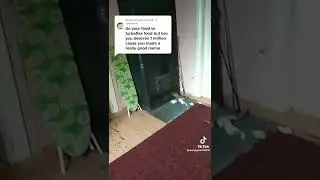 this cock is e x p i r e d meme