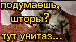 Что хочу, то ворочу😻🥰