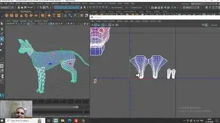 Maya Tutorials, Learn Unwrapping an Animal Model from Scratch in Maya ( Part 1)