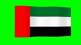 palestine green screen flag | 3d Palestine Falg weaving in green screen Background