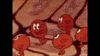 Bol raz jeden život - 24 Kolobeh života
