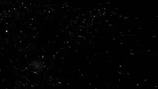 Snow_Wind_Loop | Wind Snow Green Screen |