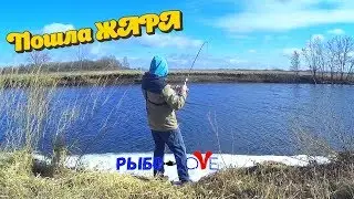 Открытие сезона 2020 на спиннинг состоялось !!!