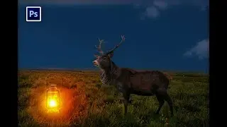 Deer Manipulation in Photoshop & simpel Light Effect by view shoot