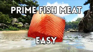 How to Get Prime Fish Meat - Ark Survival Evolved