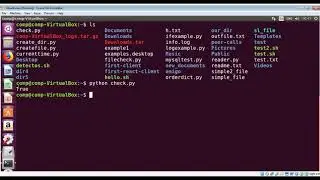 How To check in Python whether a file or directory exists